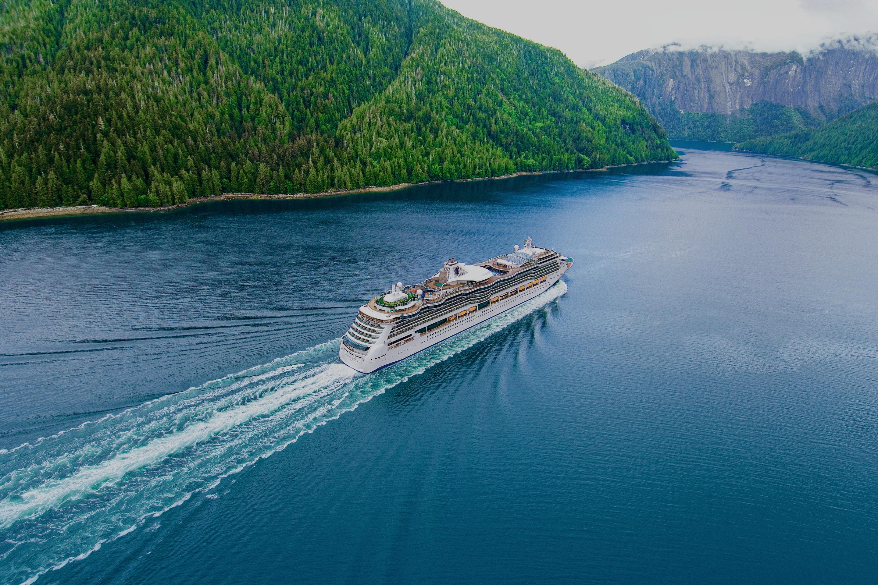 Serenade of the Seas Aerial View