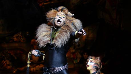 oasis cats show performer singer entertainment 460 260