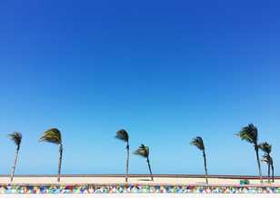 Fortaleza, Brazil