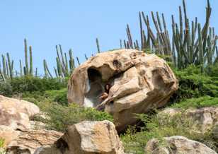 Oranjestad, Aruba