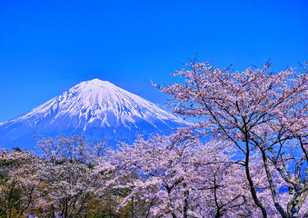 Mt. Fuji, Japan